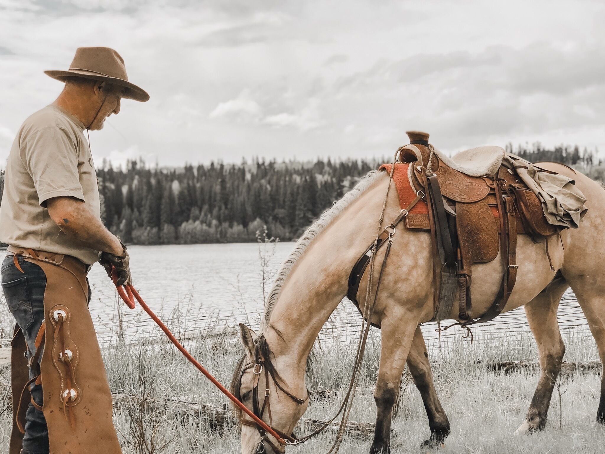 Un hombre montando un caballo con silla de montar y riendas.