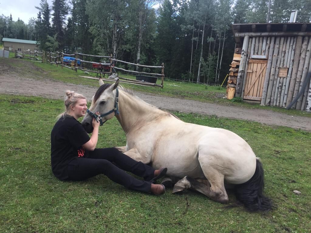 A person sitting on the grass next to a horse.