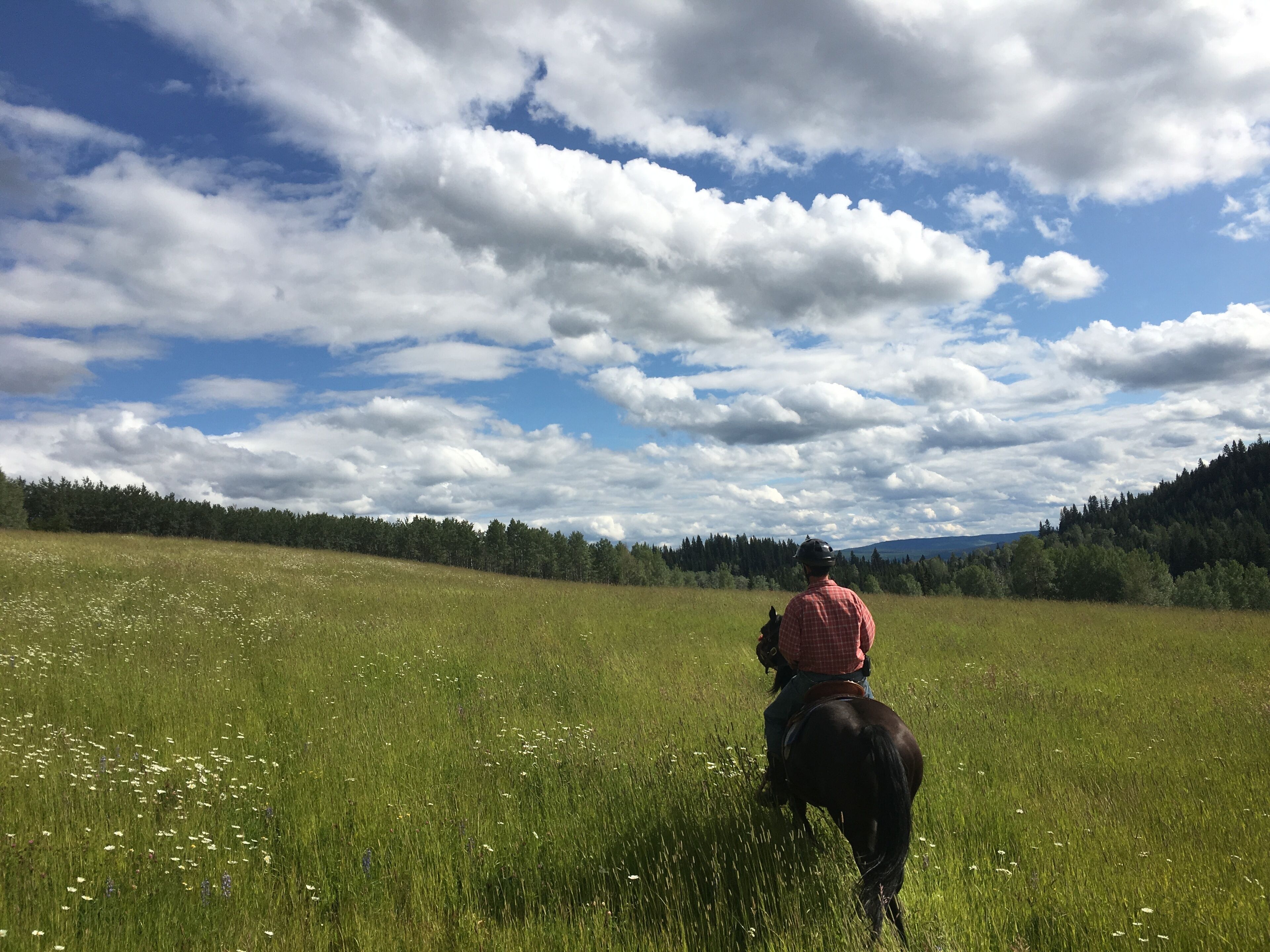 Une personne à cheval dans un champ herbeux, avec une colline boisée en arrière-plan et un ciel partiellement nuageux.