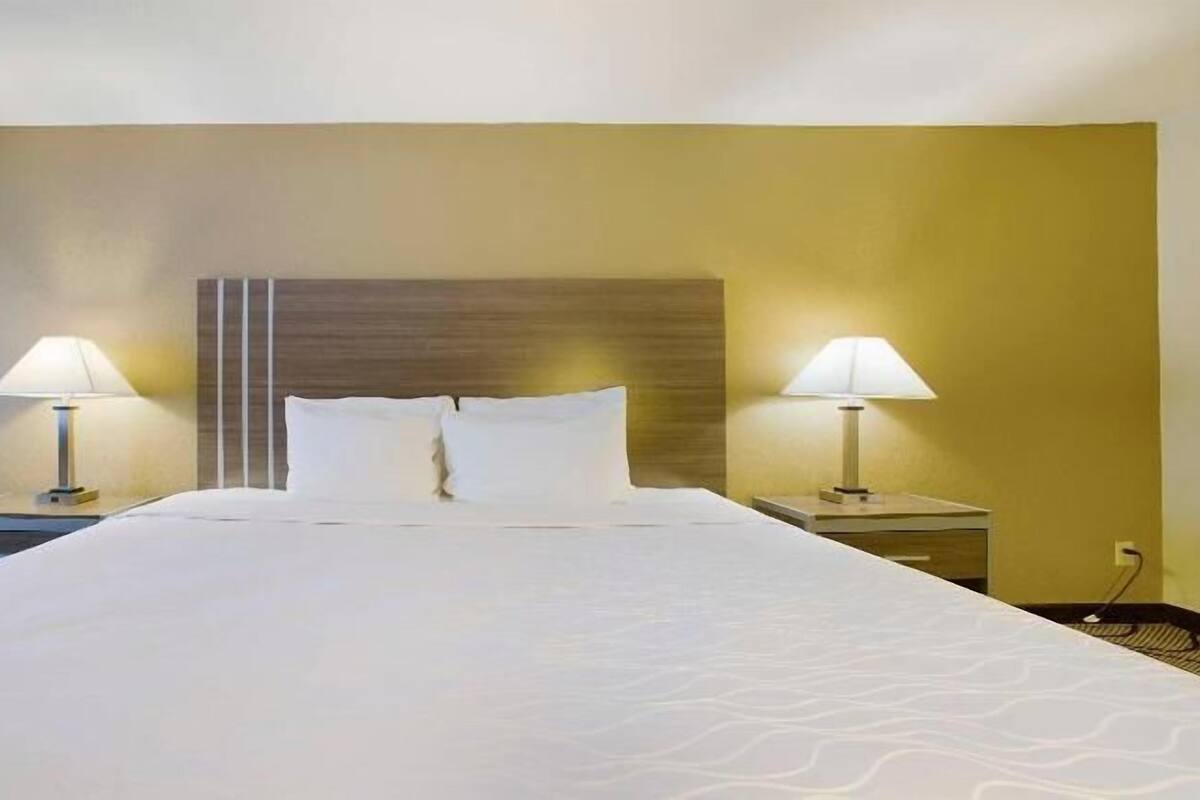 Iron/ironing board, free WiFi, bed sheets