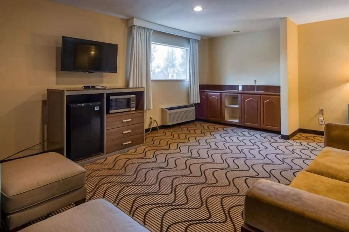 A hotel room with a kitchenette, a television, a patterned carpet, and a sofa.