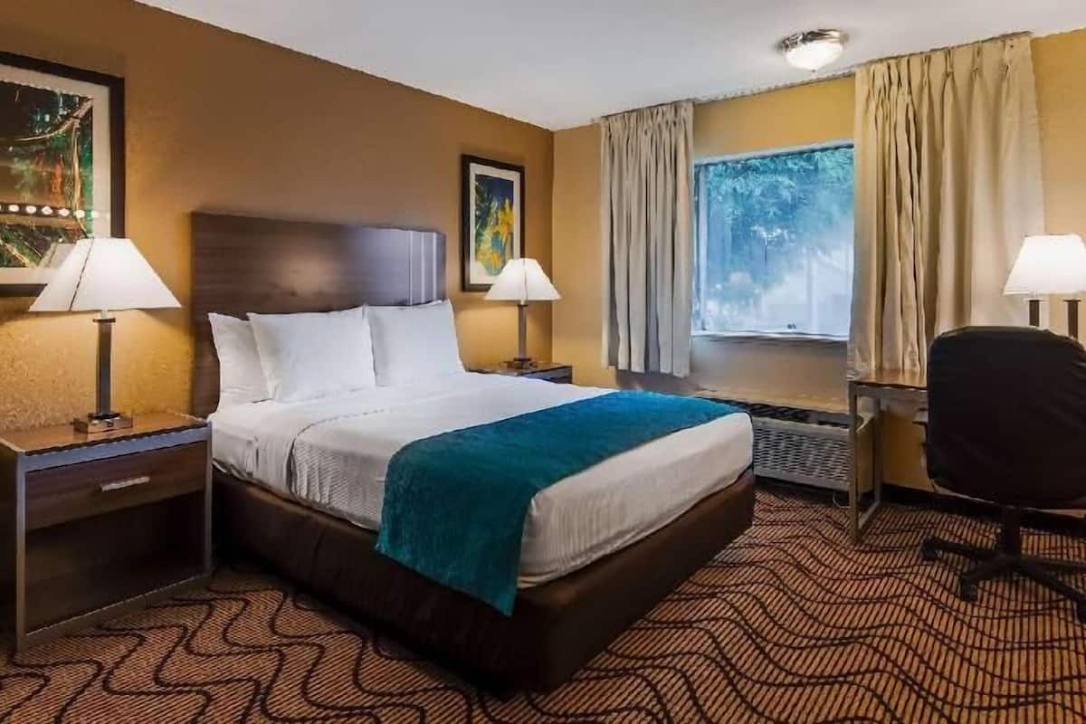 Iron/ironing board, free WiFi, bed sheets