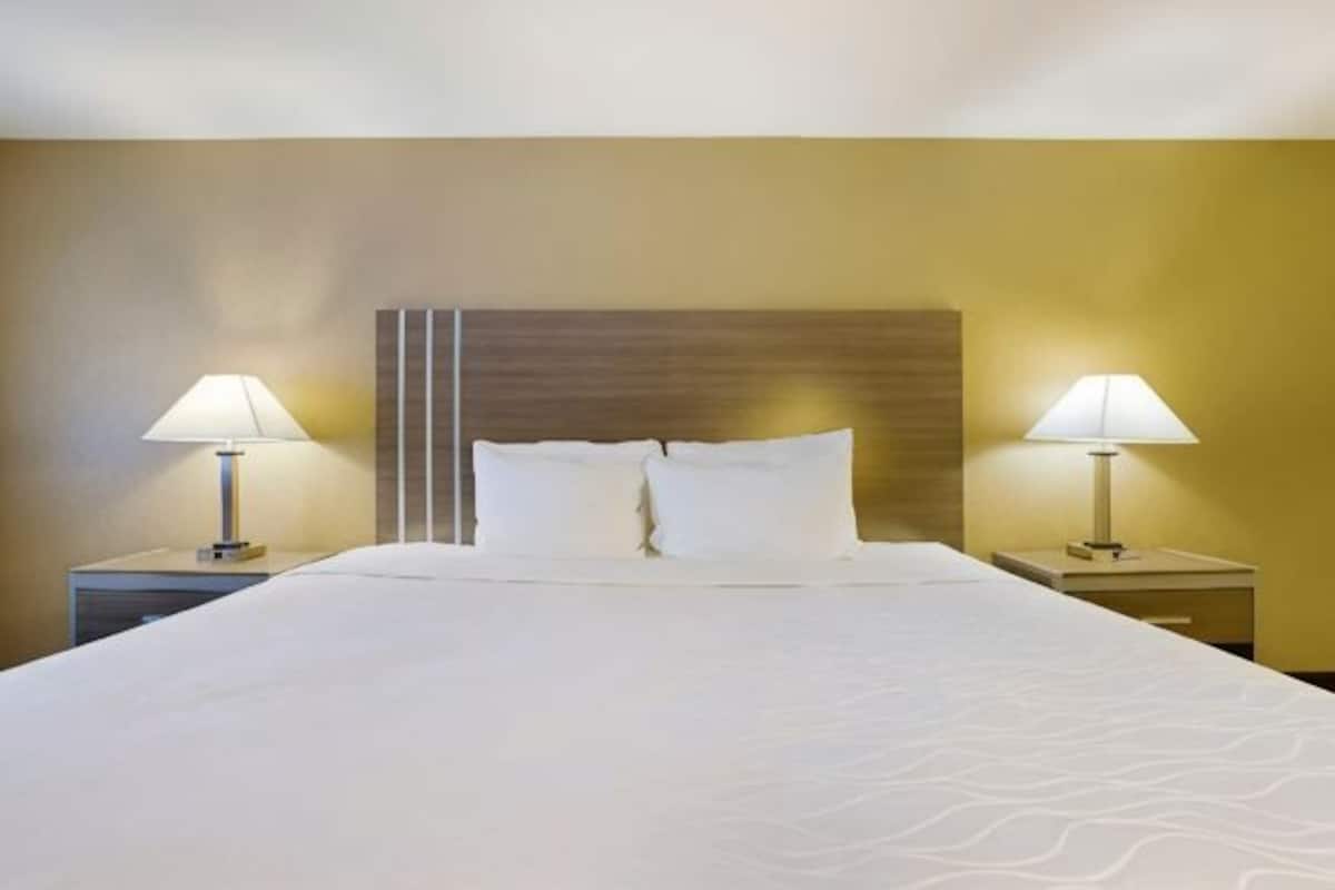 Iron/ironing board, free WiFi, bed sheets