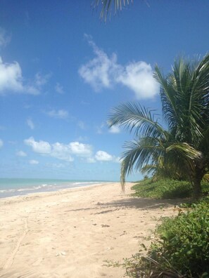 Minibar - Pousada das Acacias (São Miguel dos Milagres)