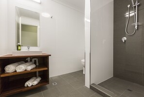 Shower, free toiletries, hair dryer, towels