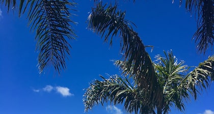 Raglan Palm Beach Motel