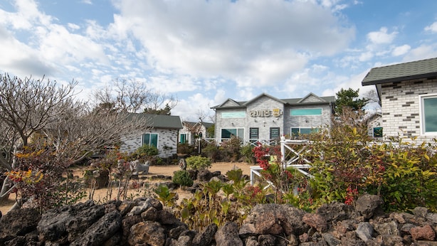 A residential area with stone houses, a paved driveway, and a garden with various plants and rocks. - Lionhill Pension (Seogwipo)