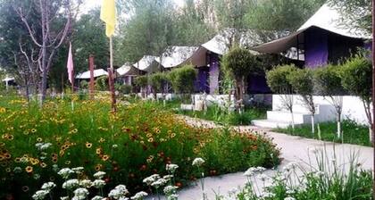 TIH Valley Flower Camp Nubra- Glamping