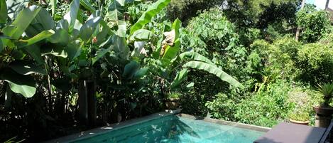 Outdoor pool, pool umbrellas, pool loungers