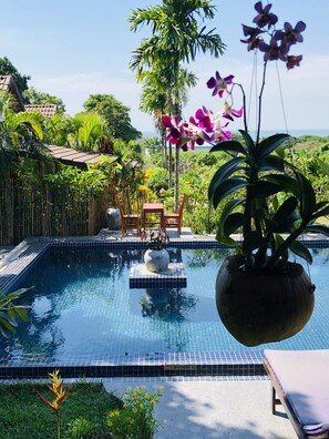 A swimming pool with a tiled edge, surrounded by lush greenery and a wooden deck. - Atmaland Resort (Kep)