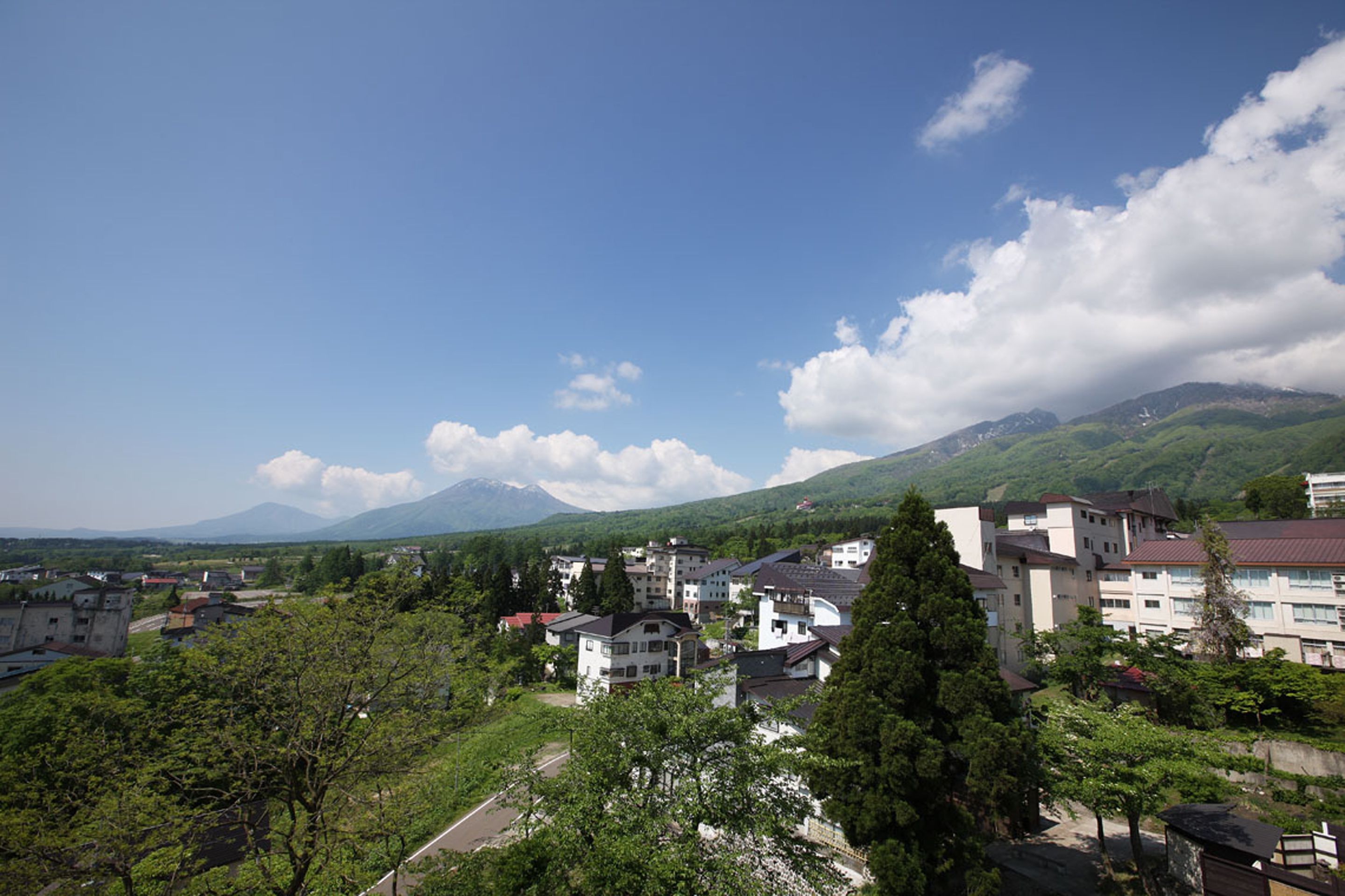 A residential area with buildings, trees, and a mountain in the background.