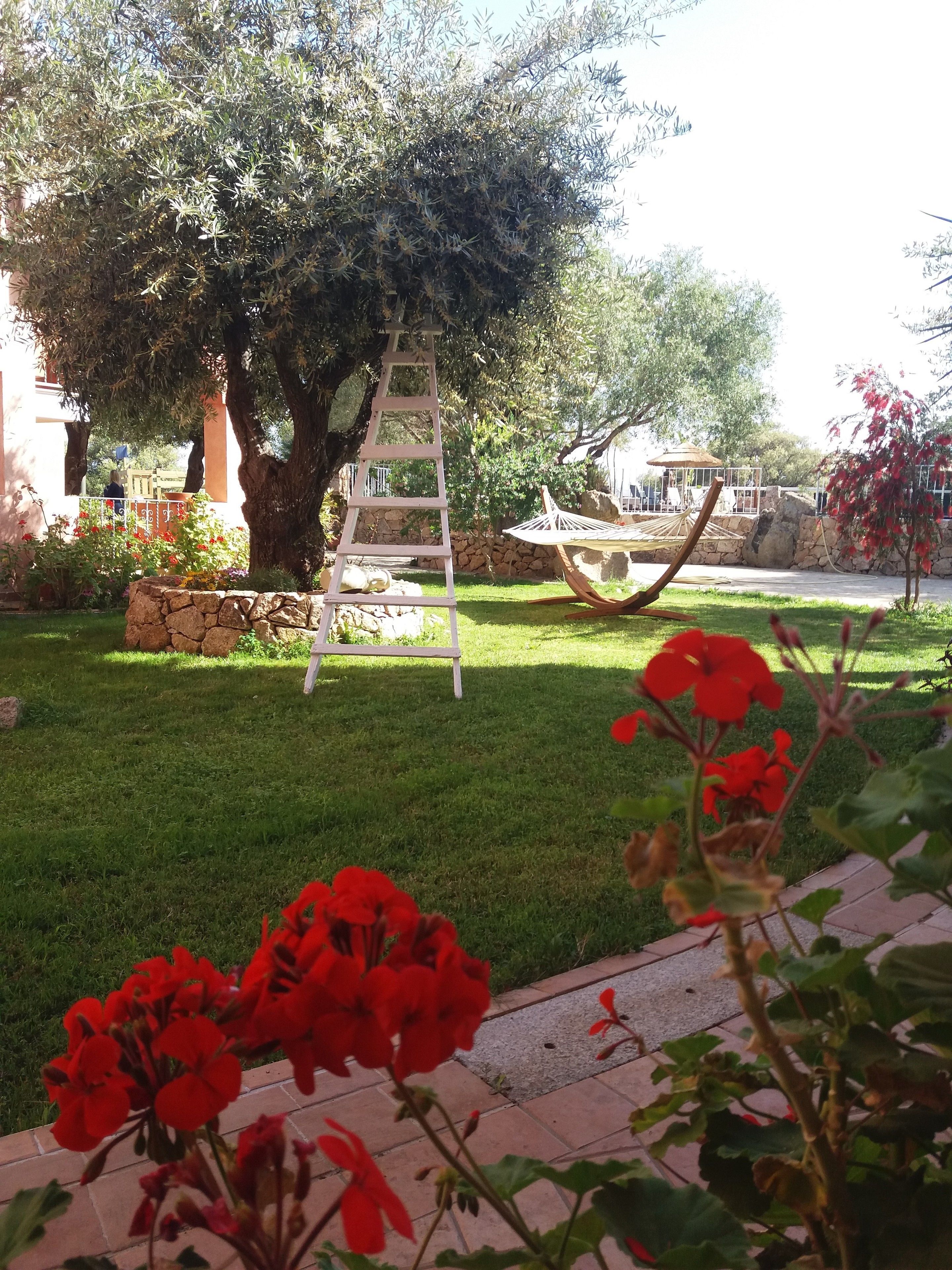 A garden with a stone wall, a wooden ladder, and a hammock.