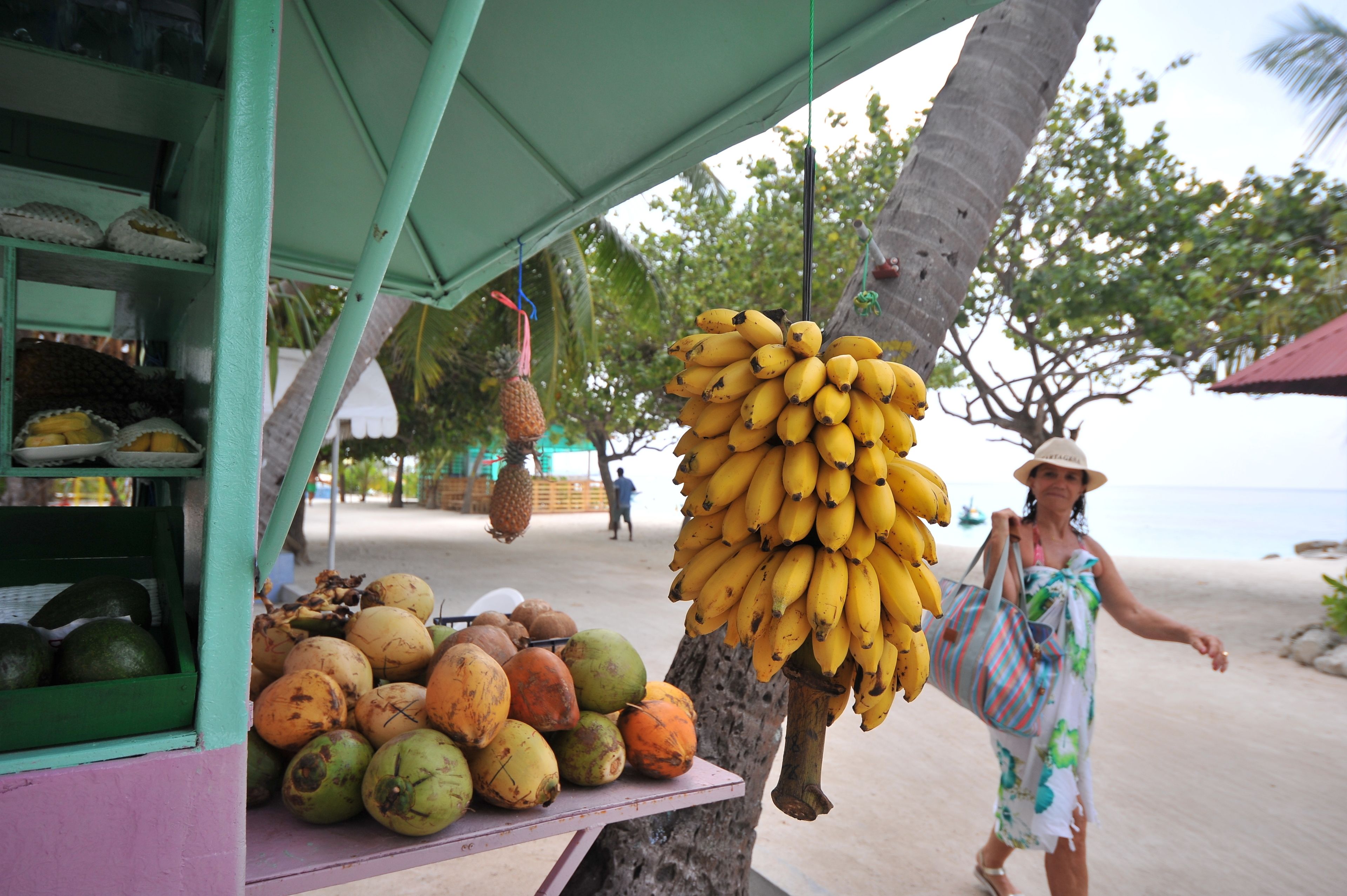 Un étal de fruits avec des bananes et des noix de coco, un palmier et une plage en arrière-plan.