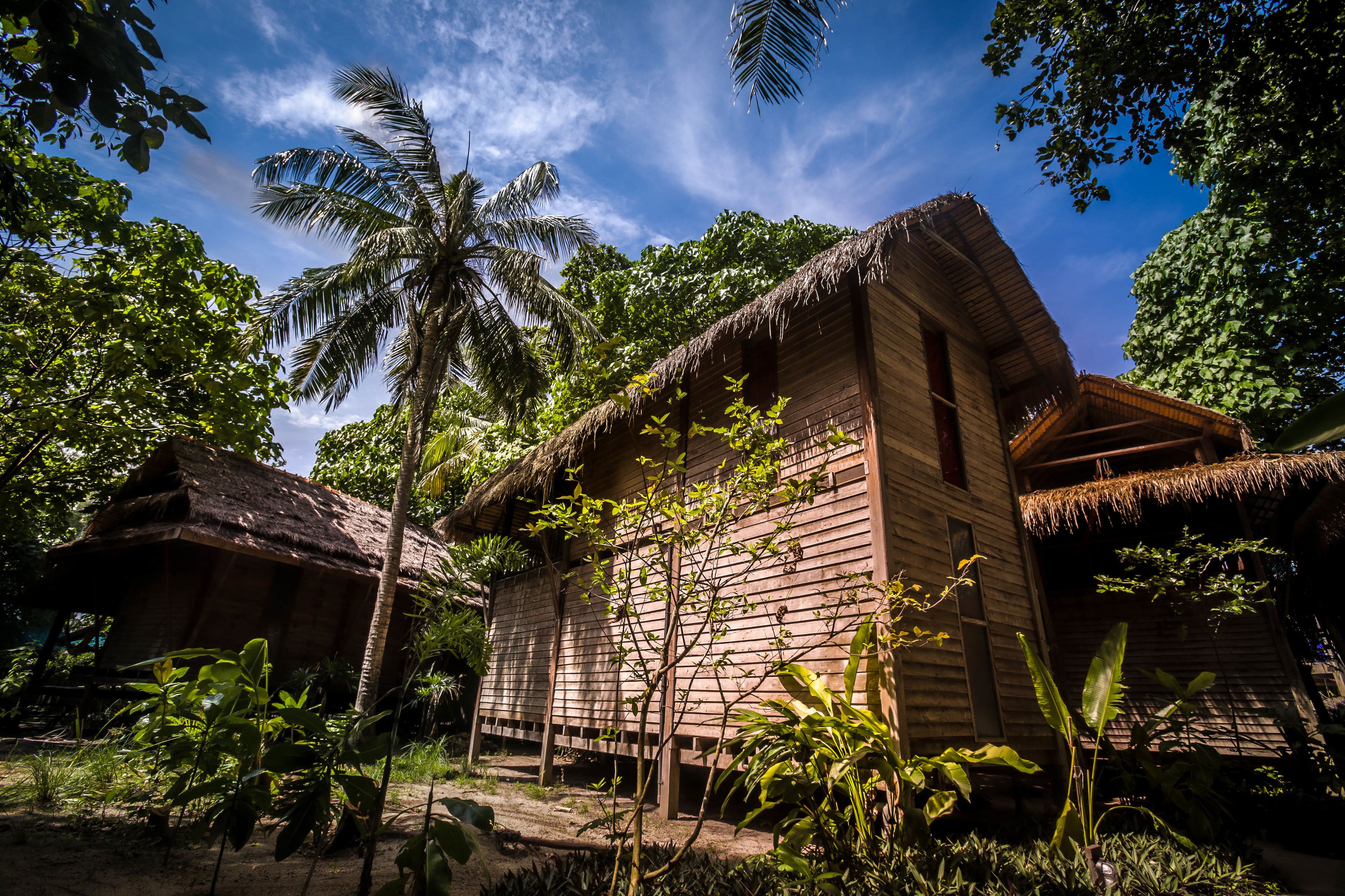 A wooden house with a thatched roof, surrounded by lush greenery and palm trees.