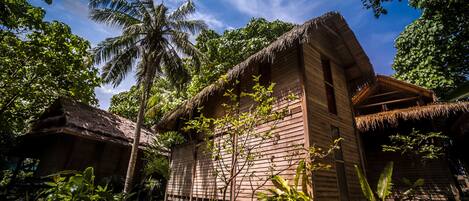 A wooden house with a thatched roof, surrounded by lush greenery and palm trees.
