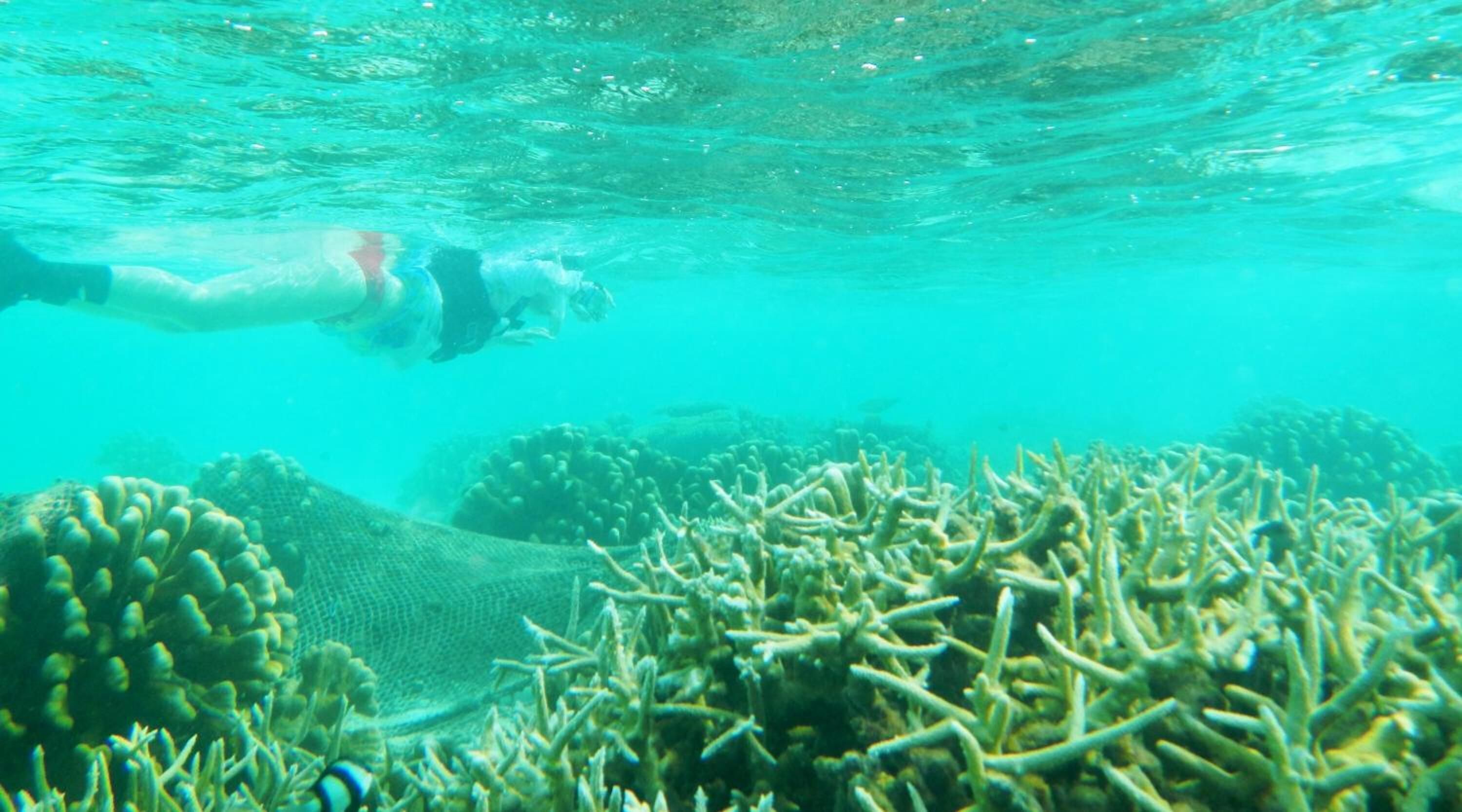 Foto - Faza View Inn, Maafushi