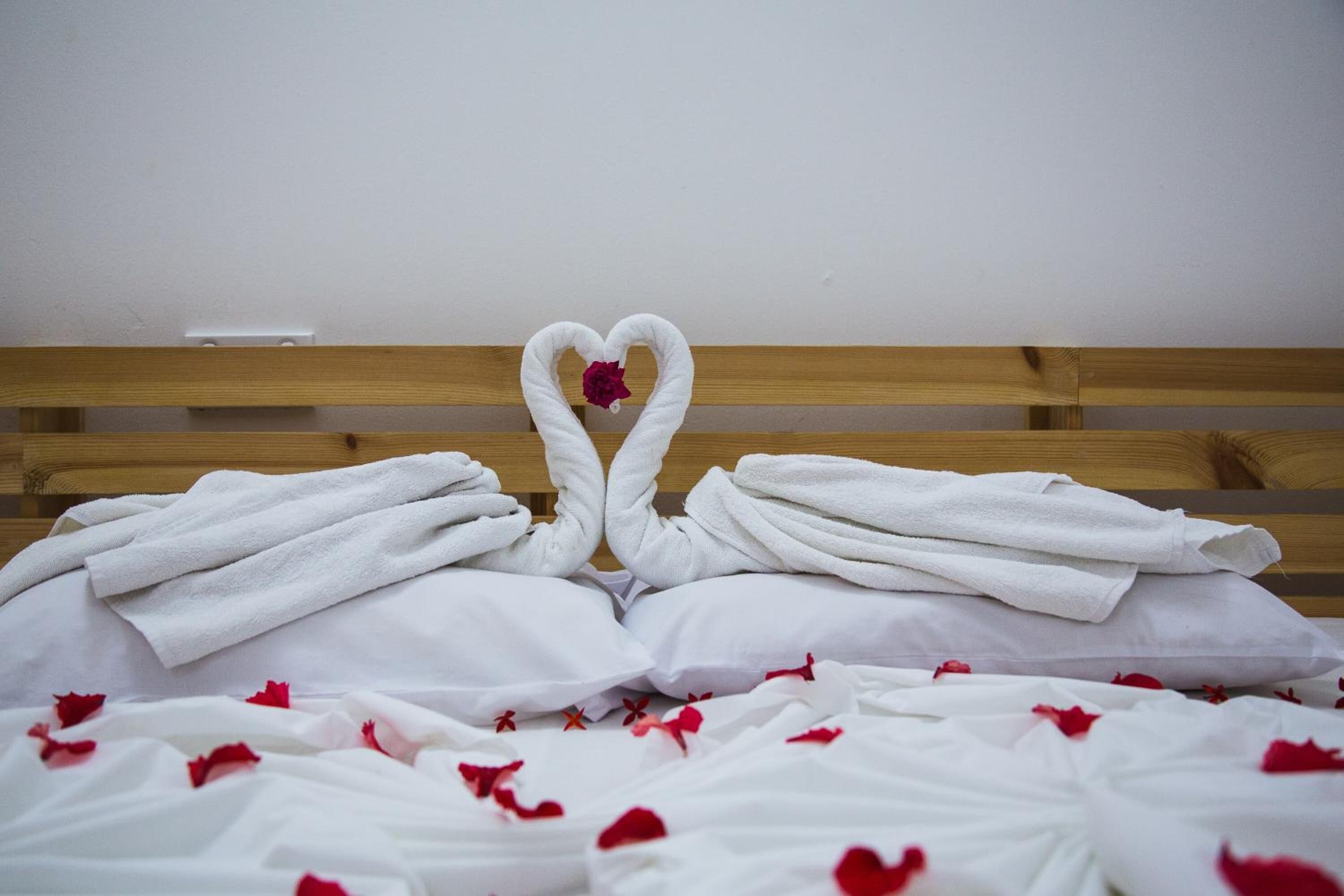 Foto - Faza View Inn, Maafushi