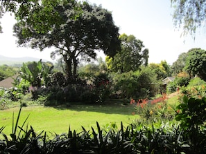 Garden view