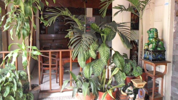 A room with a wooden table and chairs, surrounded by various potted plants. - Mandala Puri Malang (Malang)