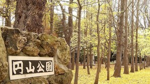 Ein Steinschild mit japanischen Schriftzeichen in einer bewaldeten Gegend mit gelben Blättern auf dem Boden.