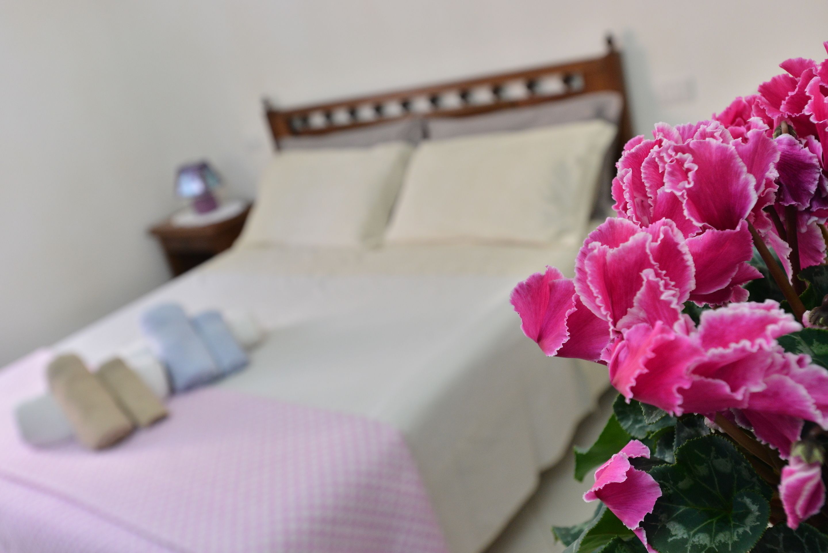 Lejlighed - 1 soveværelse | 1 soveværelse, lydisolering, strygejern/strygebræt, gratis ekstra senge