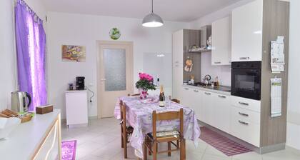 IzzHome Regina Margherita