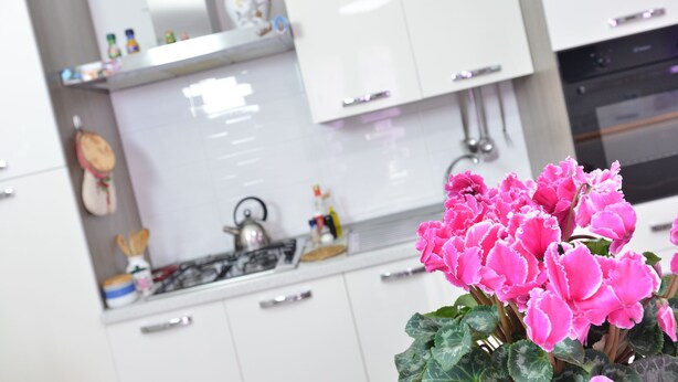 A modern kitchen with white cabinets, a stainless steel range hood, and a gas stove. - IzzHome Regina Margherita (Pula)