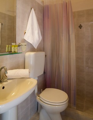 Double or Twin Room | Bathroom | Shower, free toiletries, hair dryer