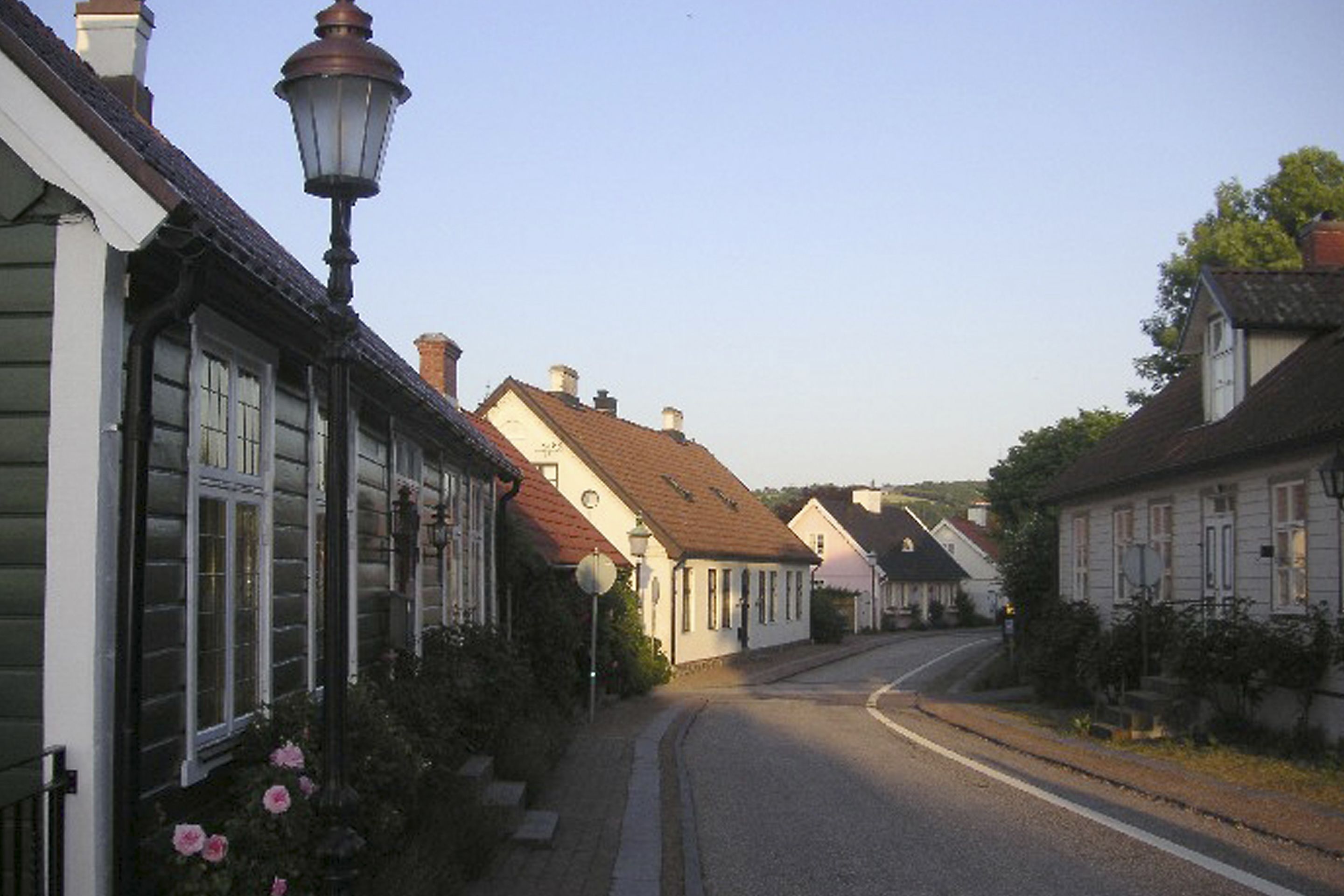 A quiet street lined with traditional houses, a street lamp, and a clear sky.