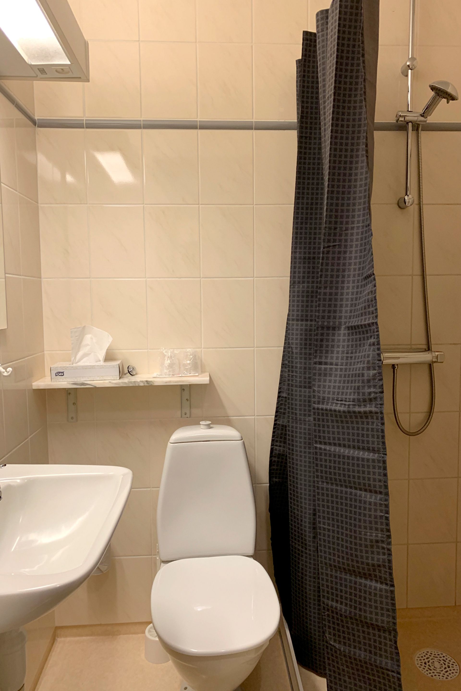 A bathroom with a toilet, sink, shower, and a shelf with toiletries.