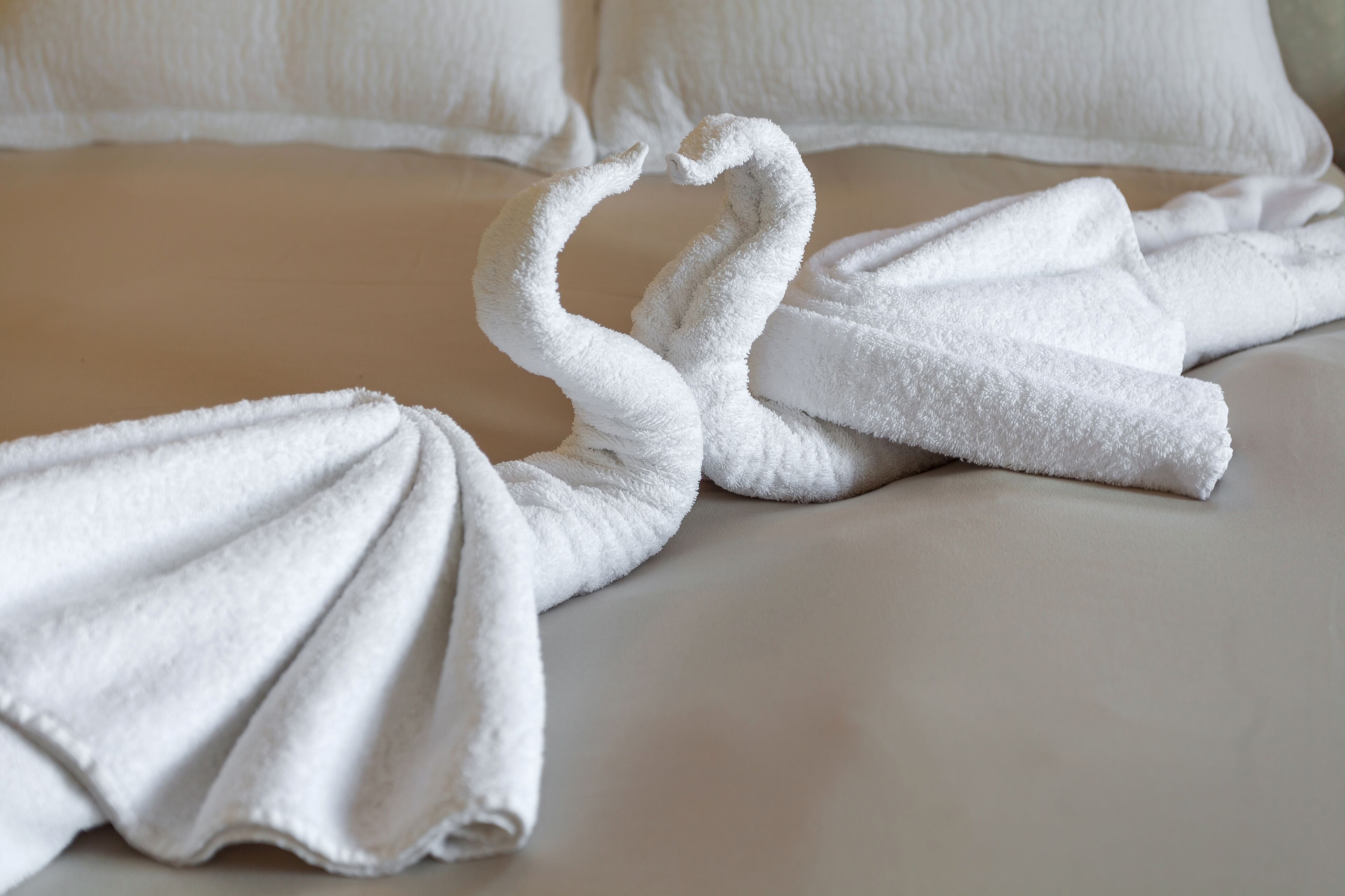 Photo - Casa Leone Hotel