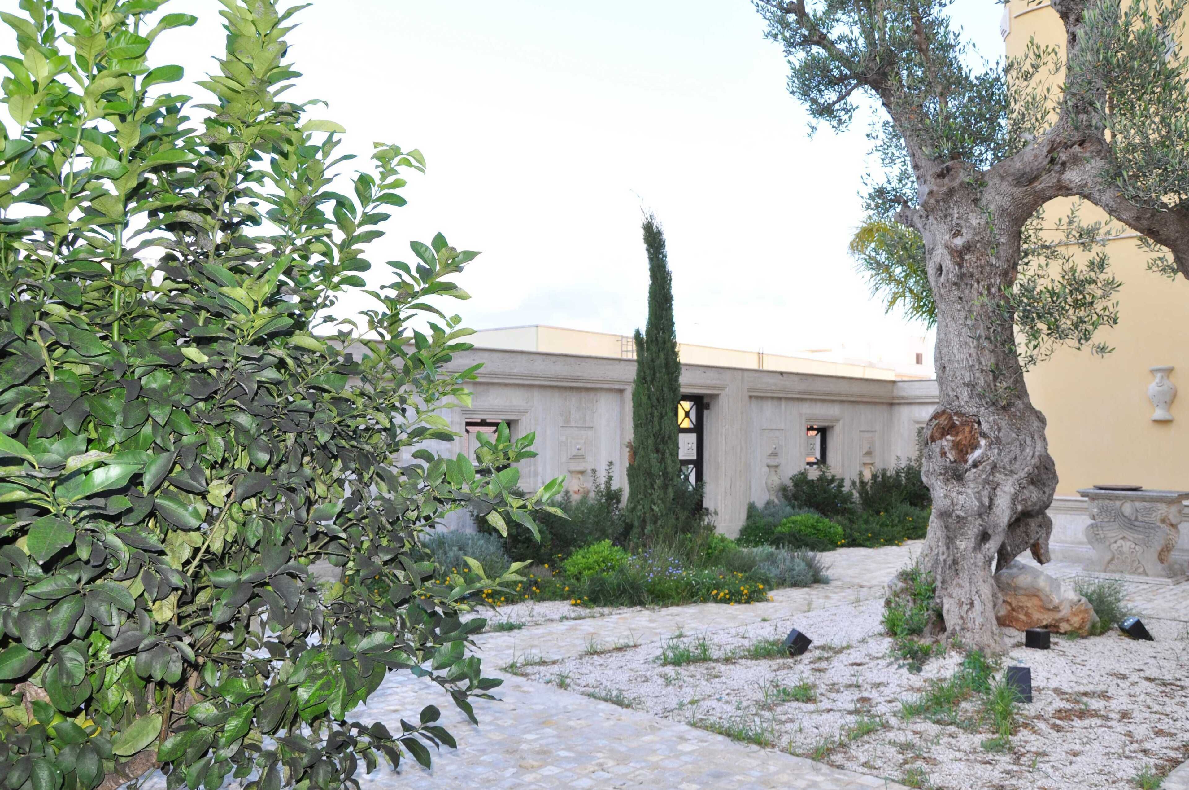 A courtyard with a stone pathway, a tree, and a building with a door and windows.