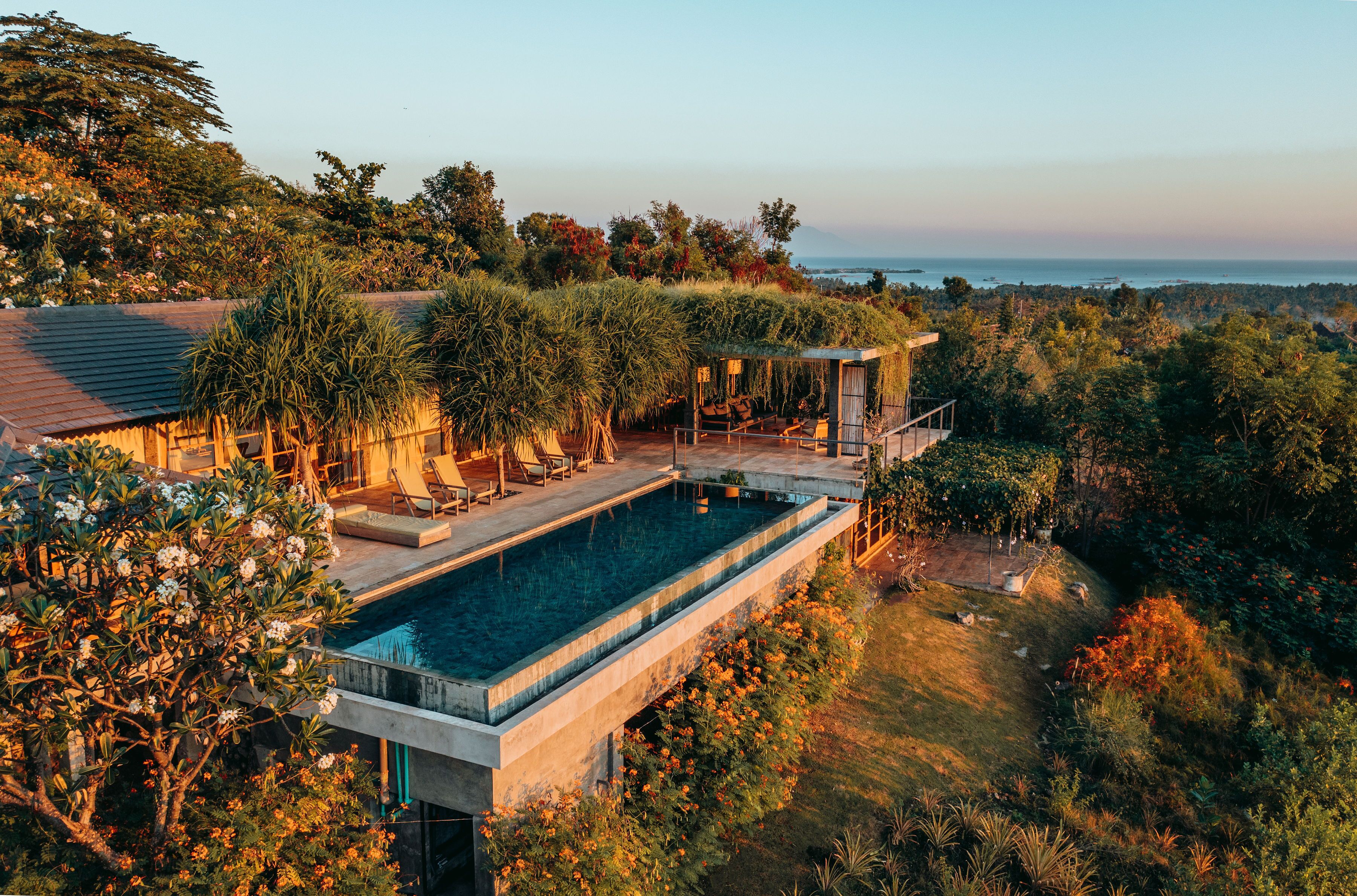 A modern house with a swimming pool, surrounded by lush greenery and a view of the ocean.