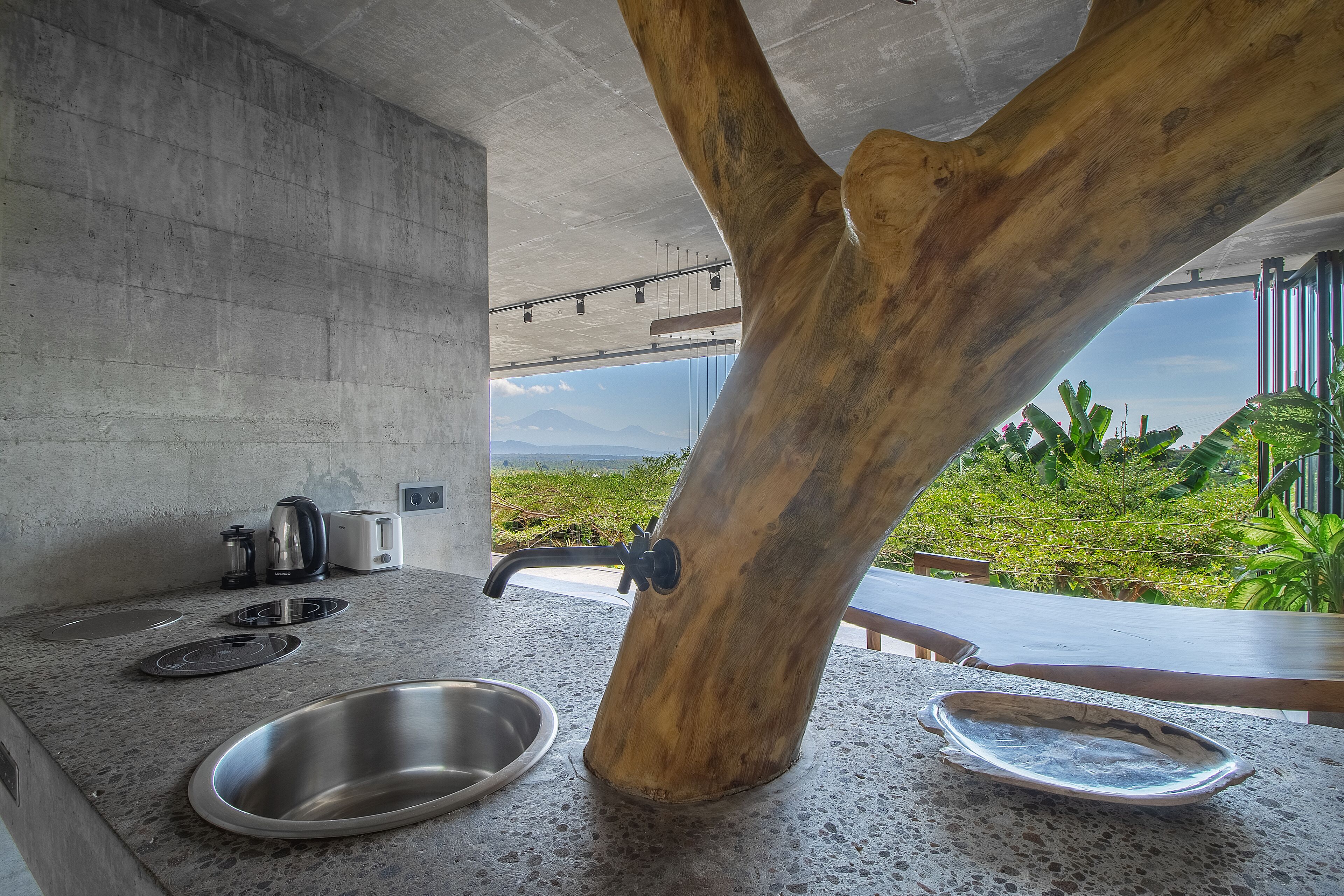 A kitchen with a large tree trunk centerpiece, a concrete countertop, stainless steel sink, and a view of greenery.