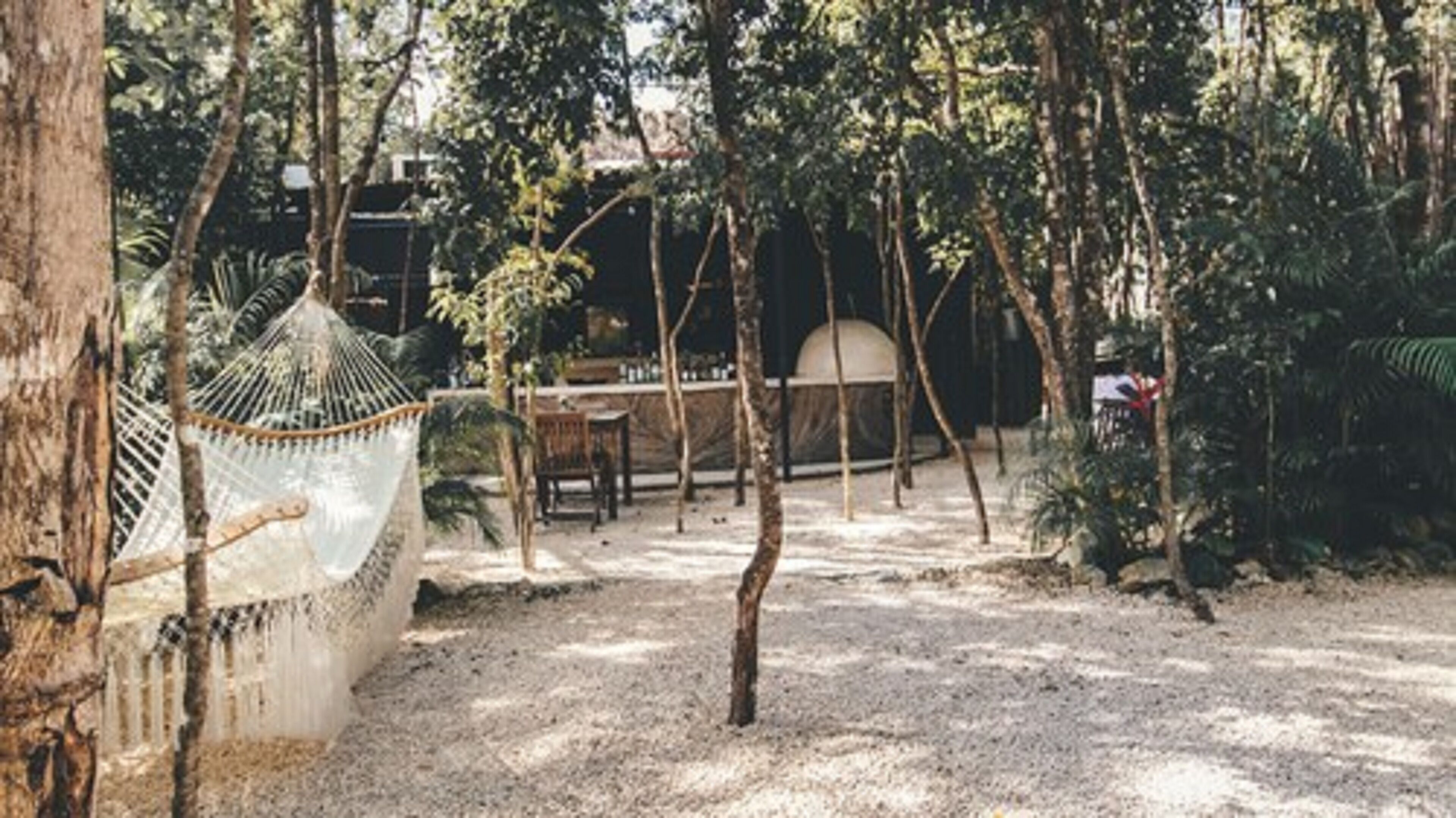 Un hamac suspendu à un arbre, une table en bois et un décor extérieur rustique, agrémenté d’un feuillage dense.