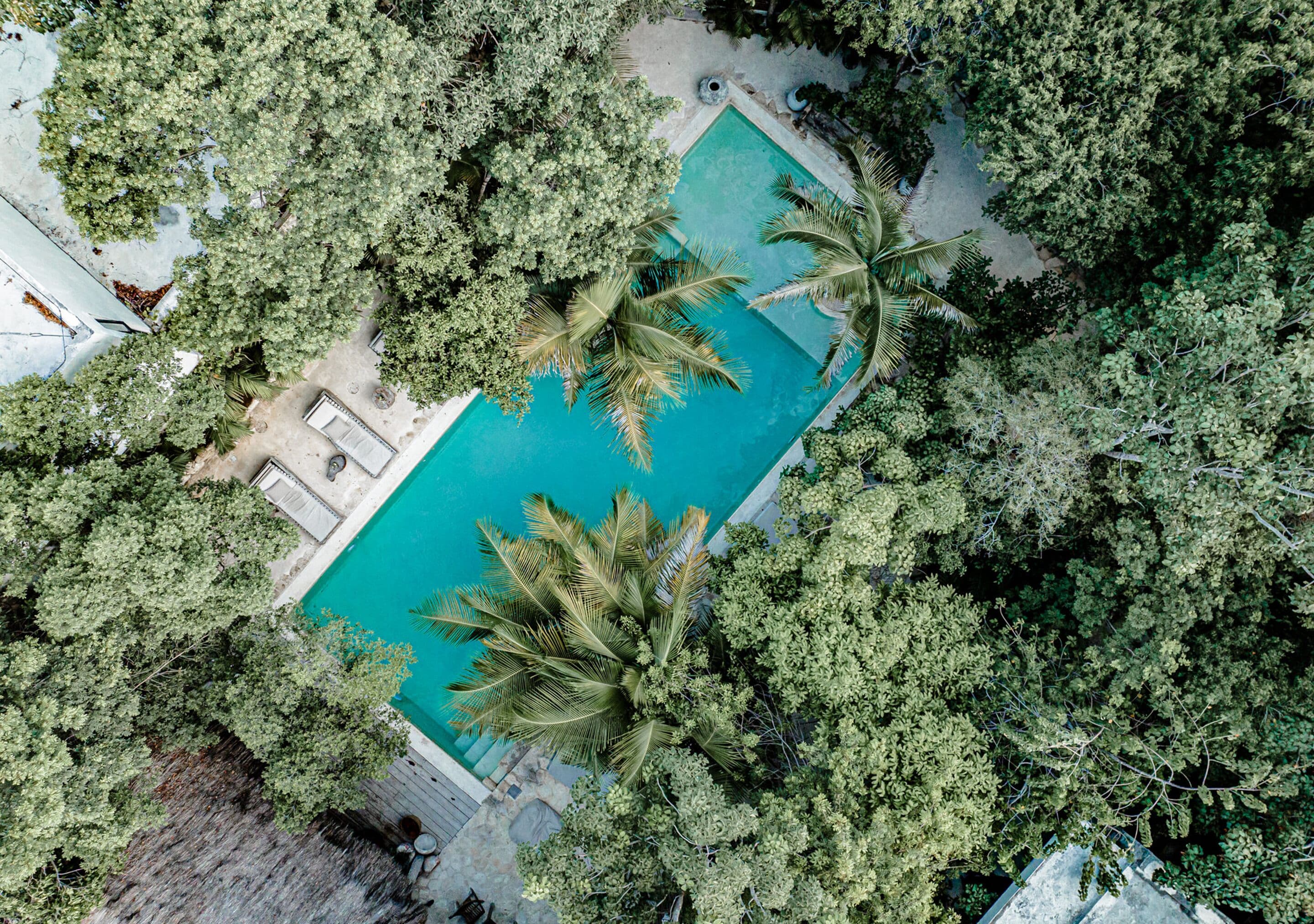 An aerial view of a rectangular swimming pool surrounded by dense foliage, with a few palm trees and a small deck area.