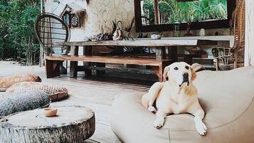 Un espacio de sala acogedor con un perro sobre un sofá color beige, una mesa de centro de madera y un televisor en una pared de piedra.