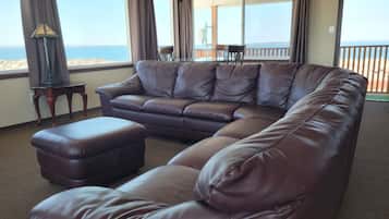 Televisión de pantalla plana, chimenea, libros