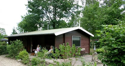 Gemütlich eingerichtetes Chalet mit Mikrowelle in einem Ferienpark in Twente