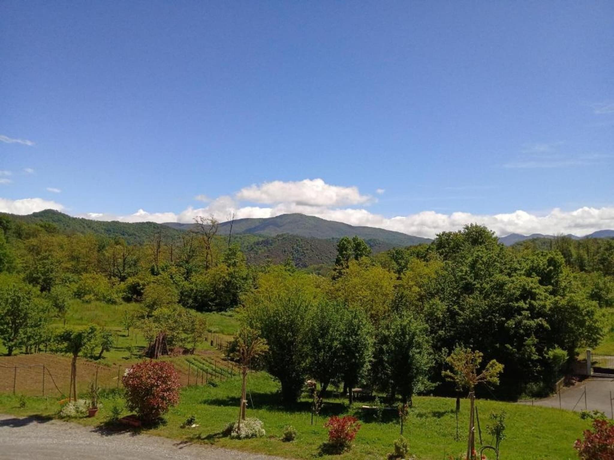 A rural landscape with rolling hills, a clear sky, and a fenced area with trees and shrubs.