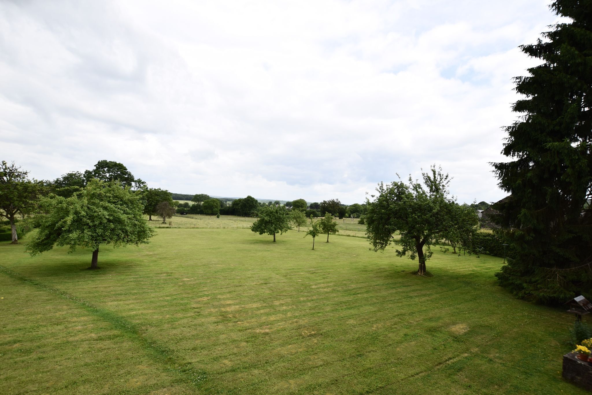 Immediate Surroundings [summer] (<1 km)
