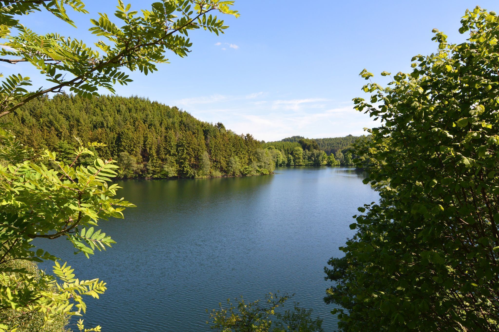 Region [summer] (>5 km)