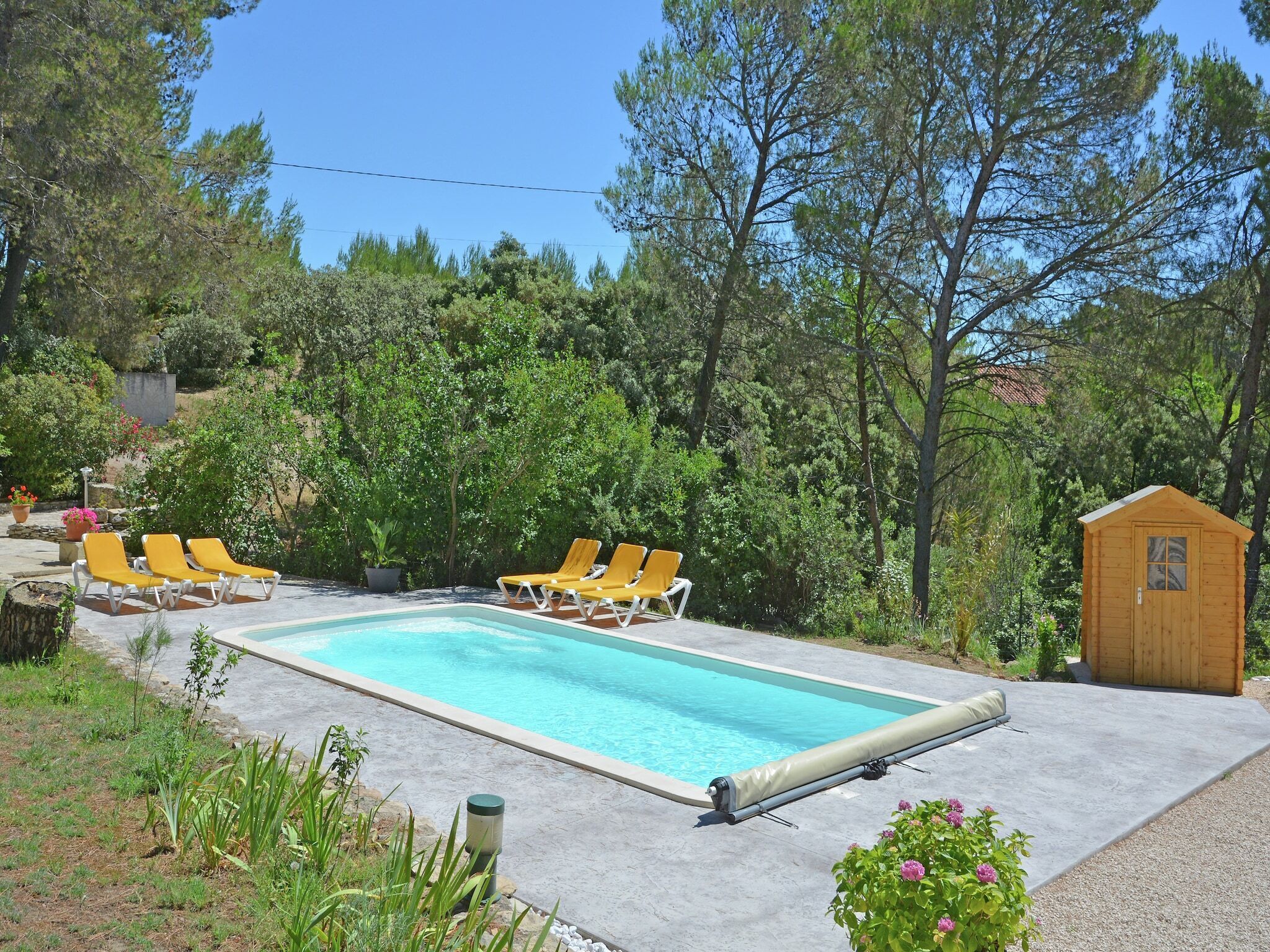 A rectangular swimming pool with a concrete deck, surrounded by lush greenery and trees. There are yellow lounge chairs aligned along the pool's edge. A small wooden shed is visible in the background.