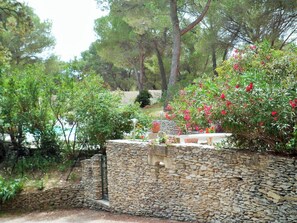 Terrein van de accommodatie