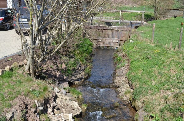 Un petit ruisseau serpente sous un pont de bois, bordé de rives verdoyantes et d’arbres.