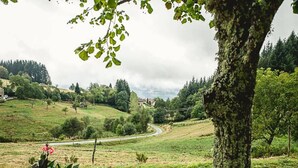 A rural landscape with a winding road, a tree, and a potted plant. - Rustic Retreat in Goutte-Claire (Sauvain)