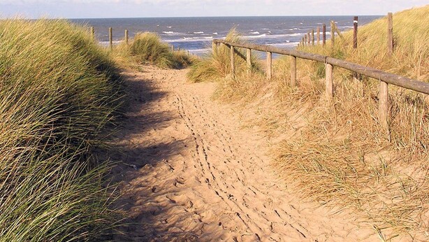 Un sendero arenoso que lleva a la playa, con una valla de madera a un lado.