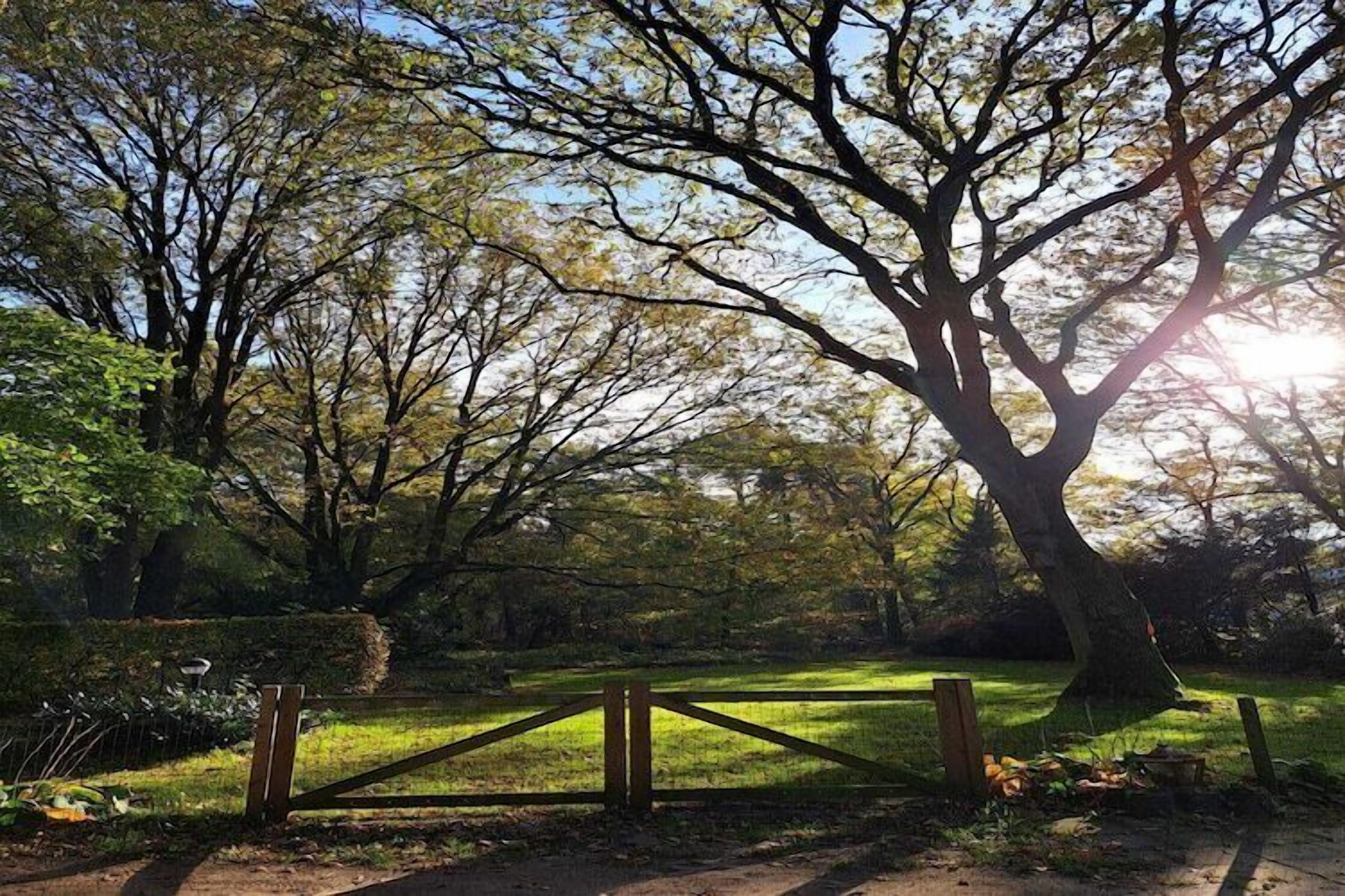 Parco della struttura