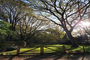 Terrein van de accommodatie