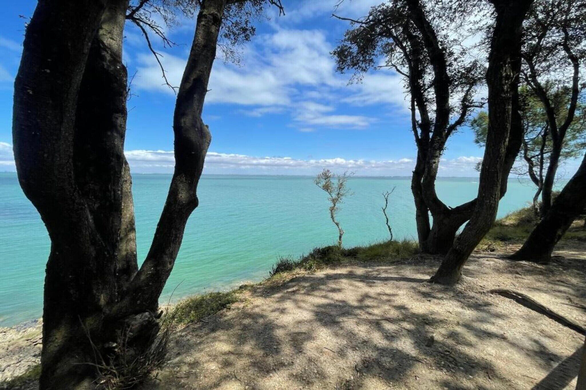 A coastal landscape with trees and a clear view of the sea.